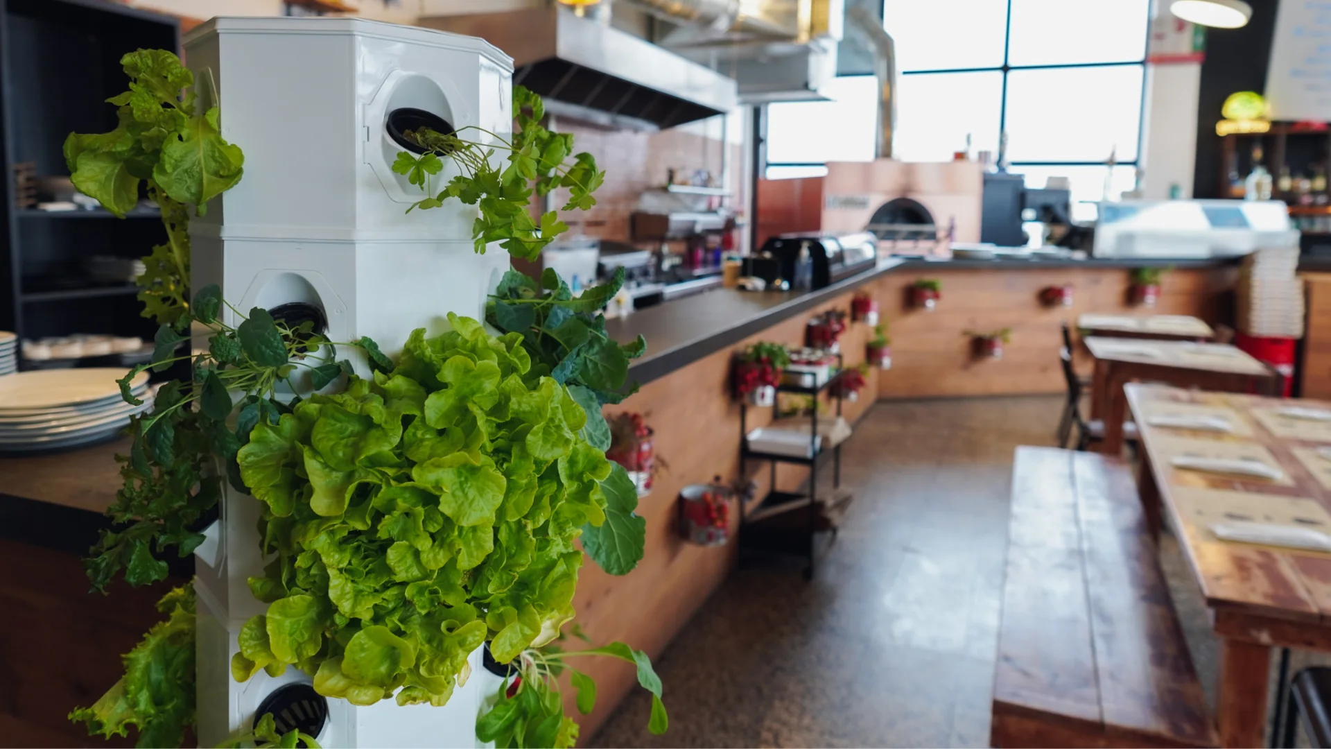 Torre de cultivo vertical branca com plantas verdes numa cozinha moderna