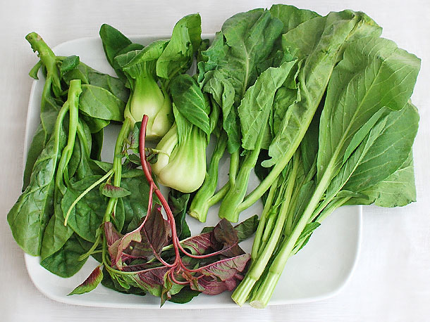Asian Mustard Greens em Hidroponia