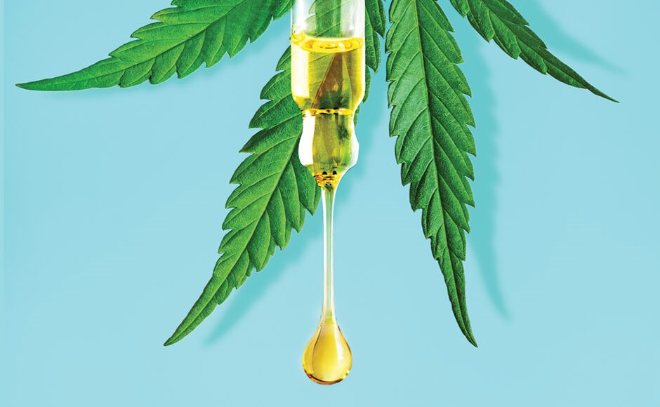 Folha verde de cannabis com gota líquida amarela pendurada numa ponta