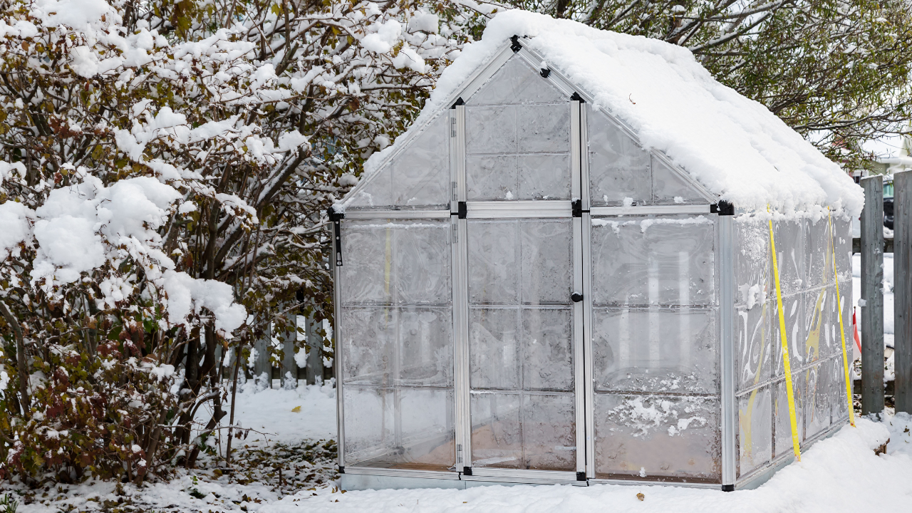 Estufa transparente com neve no jardim