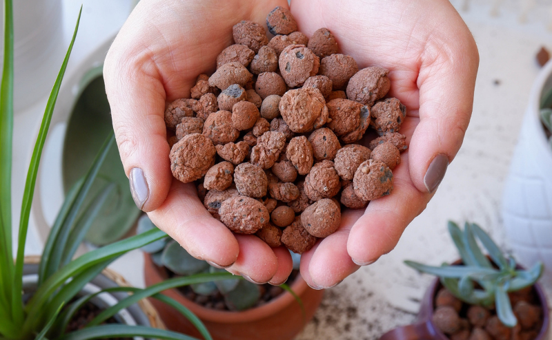 Mãos segurando pequenas pedras vulcânicas castanhas com plantas suculentas ao fundo