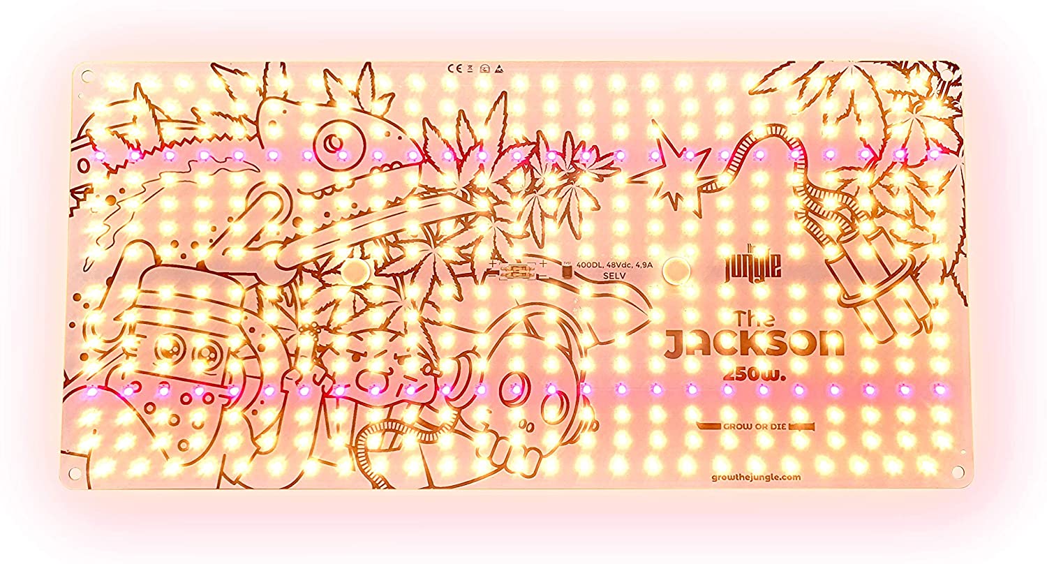 The Jackson 250w Painel retangular com luzes LED e desenhos infantis com texto THE JACKSON SQUARE.