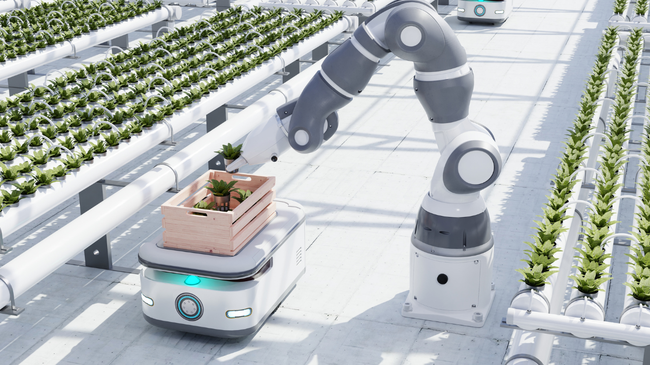 robô móvel transportando caixa de madeira com mudas em estufa automatizada