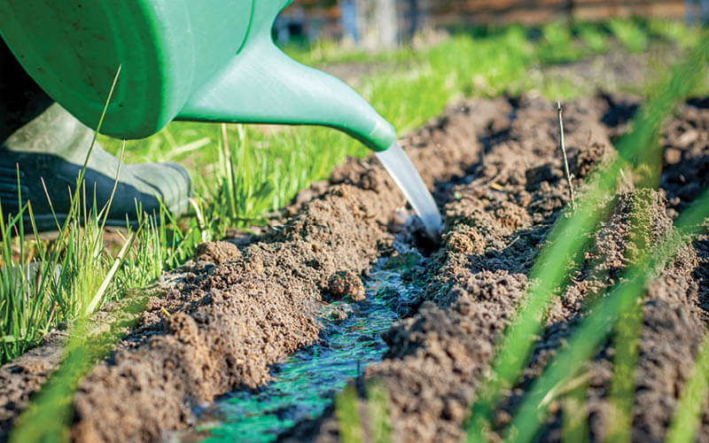 aproveitar &aacute;gua trincheiras