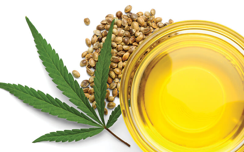 &oacute;leo cannabis