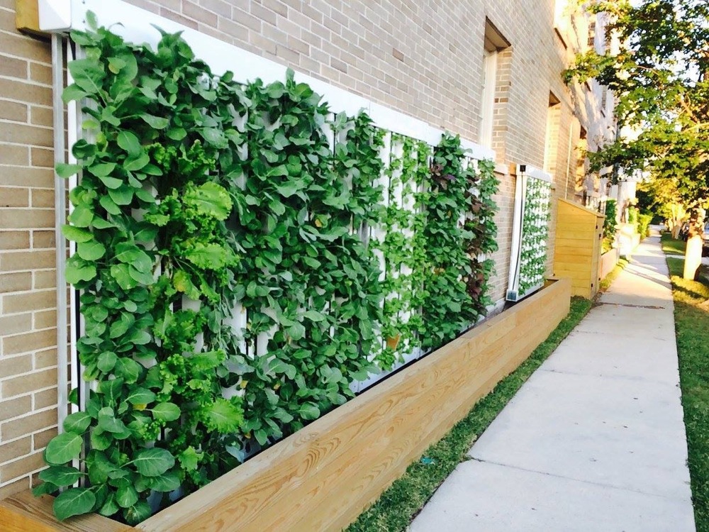 Jardim vertical com plantas verdes em suportes brancos e base de madeira ao lado de uma parede de tijolos claros.