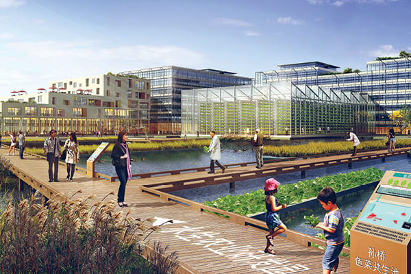 hortas verticais urbanas