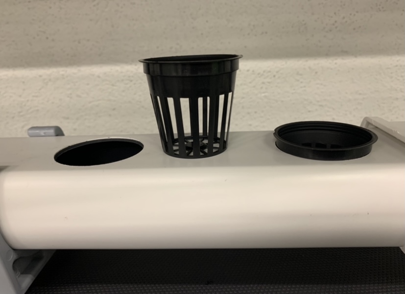 Cesto Rede 5,5 cm Sistema de plantação hidropónica com vaso e tampa pretos em tubo branco