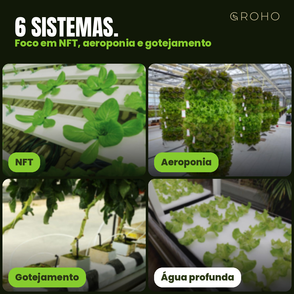 Formação Online "Introdução à Hidroponia" – 31 Outubro 2026 Quatro sistemas agrícolas interiores: NFT, Aeroponia, Gotejamento e Água profunda com plantas verdes