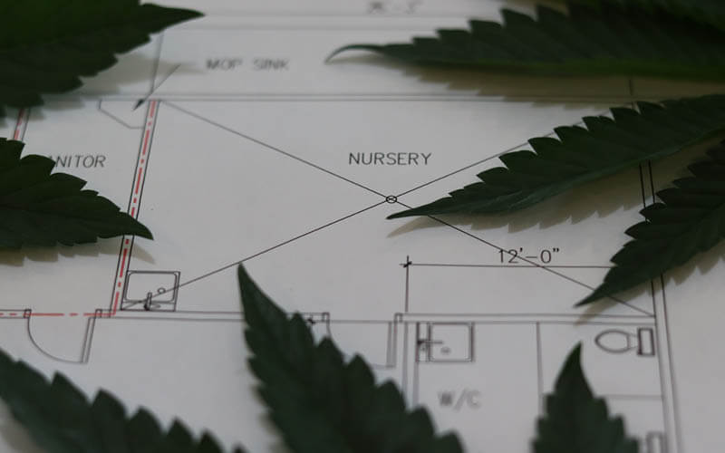 planear estufa can&aacute;bis