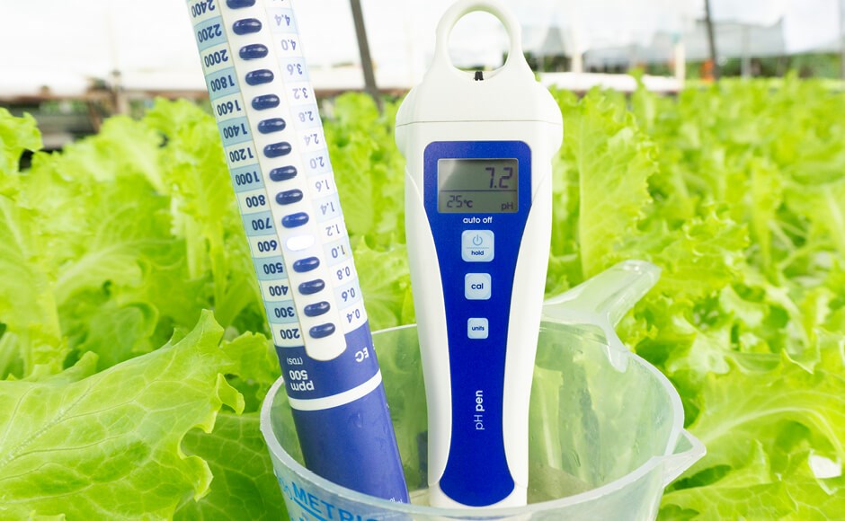 Medidores de pH em copo medidor com plantas de alface ao fundo