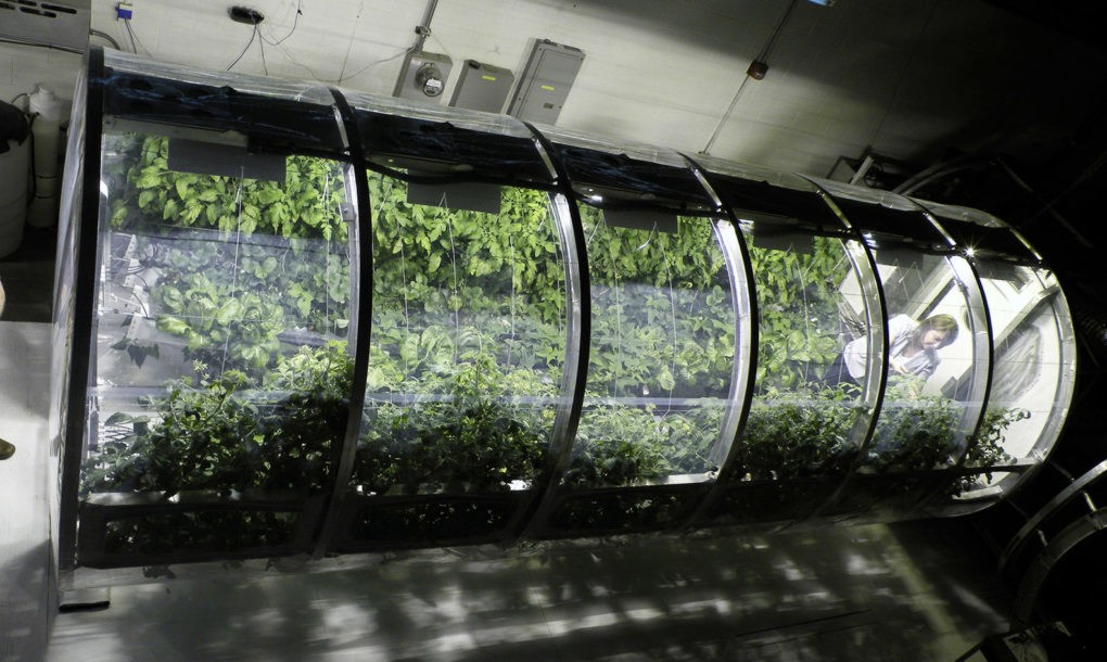 Estufa cilíndrica metálica com plantas verdes dentro, em ambiente cerrado