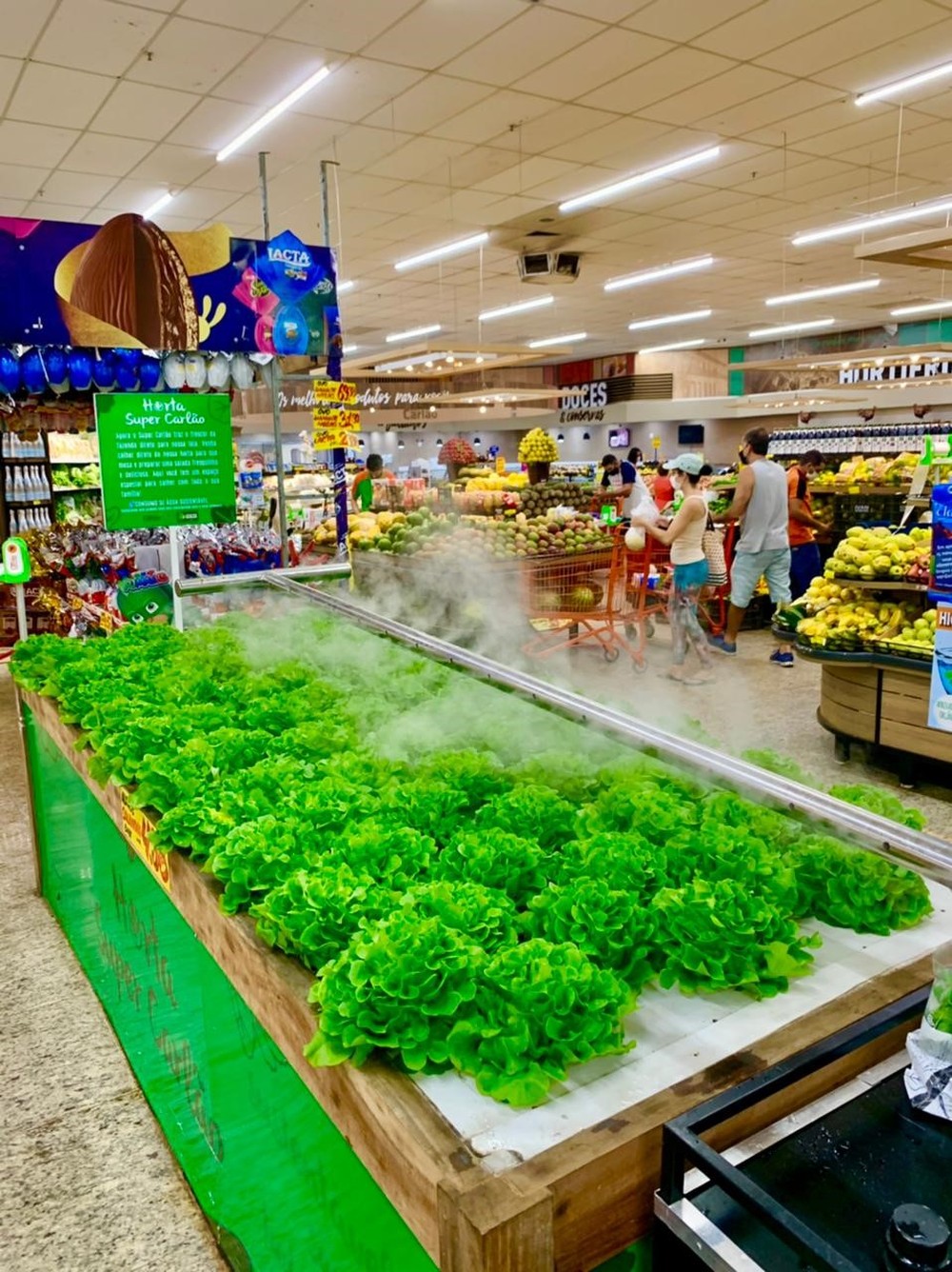 alface em hidroponia