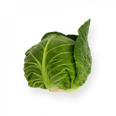 Couve verde fresca com folhas densas sobre fundo branco