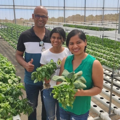 Três pessoas numa estufa segurando plantas verdes em hidroponia.