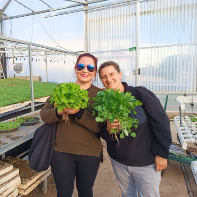 Duas pessoas segurando plantas verdes frescas em estufa de cultivo