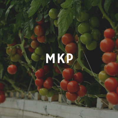 https://www.groho.pt/product/1-kg-mkp
