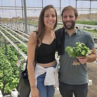 Duas pessoas numa estufa, homem segura maço de manjericão com raízes