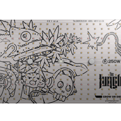 Placa eletrónica branca com ilustrações e texto