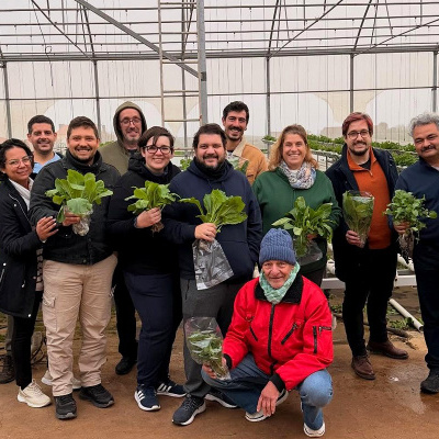 Pessoas com folhas verdes em sacos plásticos num estufa