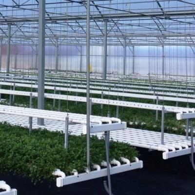 Estufa com plantas em cultivo hidropónico em tubos brancos
