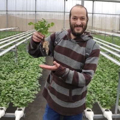 Homem segurando planta com raiz exposta num viveiro hidroponico