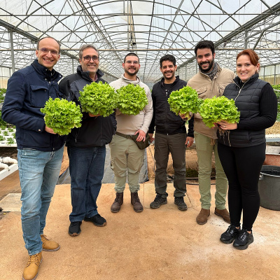 Seis pessoas em estufa segurando alfaces verdes frescas