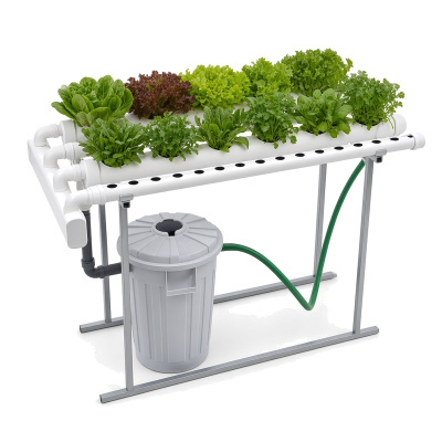 https://www.groho.pt/product/horta-caseira-40plantas