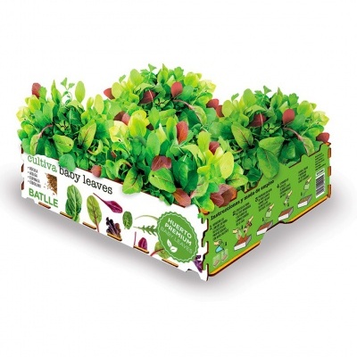 Caixa de cultivo baby leaves com embalagem verde e folhas verdes e vermelhas