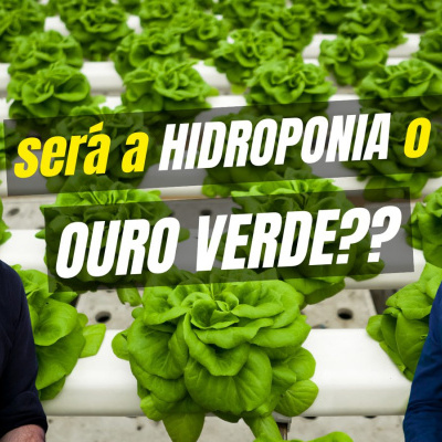 Dois homens junto a cultivo hidropónico de alfaces com texto sobreposto em português.