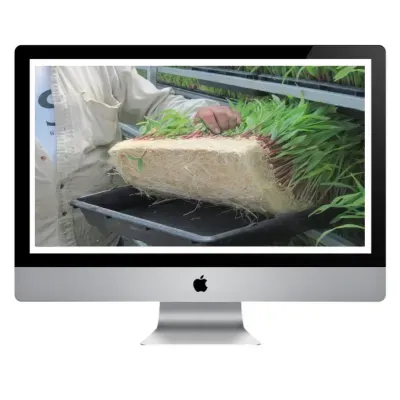https://www.groho.pt/product/curso-online-forragem-hidroponica