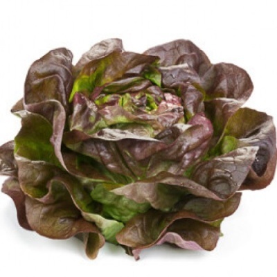 Alface bebê babyleaf com folhas verdes e vermelhas onduladas