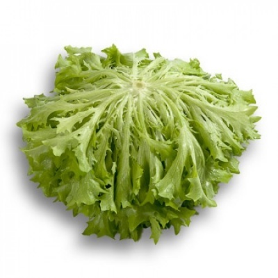 https://www.groho.pt/product/alface-frisada-verde-peletizada-desirade