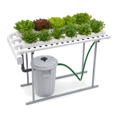 https://www.groho.pt/product/horta-caseira-40plantas