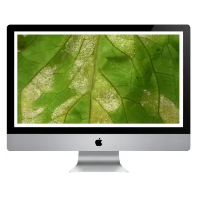 https://www.groho.pt/product/curso-online-pragas-doencas-alface-hidroponia