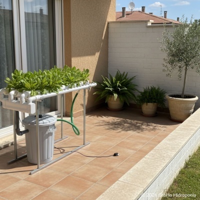 Sistema de cultivo hidropónico com plantas verdes num terraço