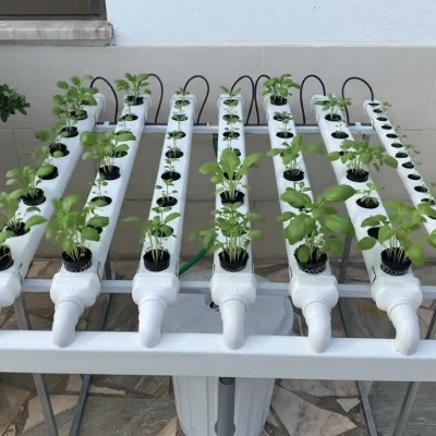 https://www.groho.pt/product/horta-caseira-horizontal-60plantas