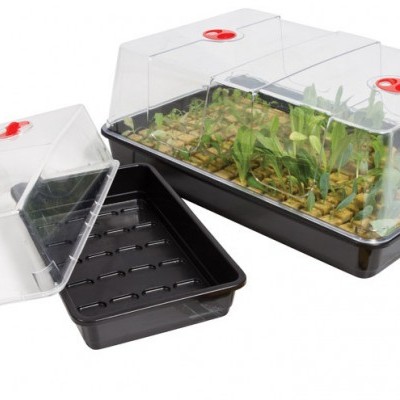 Mini estufa transparente com base preta e plantas verdes