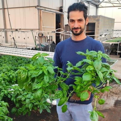 Homem segurando vasos de basílico em estufa agrícola