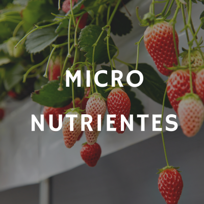 https://www.groho.pt/product/1-kg-micronutrientes