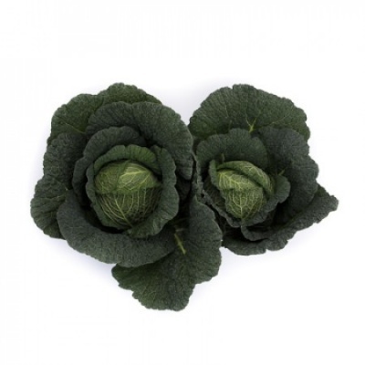 Duas couves verdes com folhas rugosas sobre fundo branco