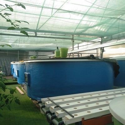 Tanques azuis grandes dentro de estrutura coberta por rede verde