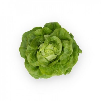 Alface verde fresca com folhas densas e curvas