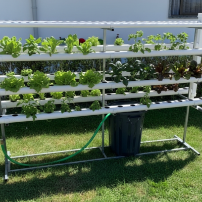 Sistema de cultivo hidropónico com tubos de PVC brancos e plantas verdes em relvado junto a casa