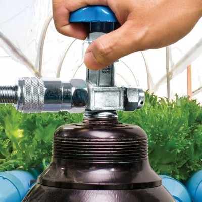 Mão ajustando válvula metálica junto a tubo azul e recipiente preto numa estufa com plantas verdes