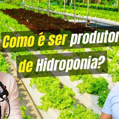 Duas pessoas em estufa hidropónica com alfaces, texto sobreposto sobre hidroponia.