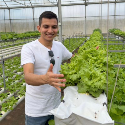 Pessoa com t-shirt branca a cuidar de alface verde numa estufa hidropónica