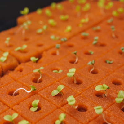 Placas quadradas laranja com buracos e plantas verdes crescendo