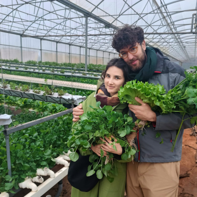 Casal numa estufa segurando verduras frescas