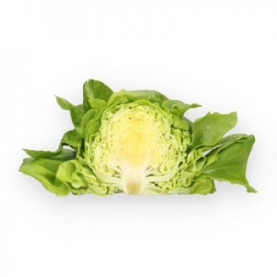 Alface cortada ao meio com folhas verdes sobre fundo branco